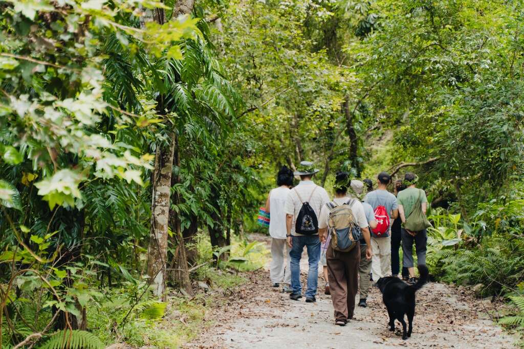 圖1-「縱谷國際旅遊體驗串聯計畫」,以跨區域串聯花蓮玉里山林、人文工藝與部落料理,打造兼具文化深度與國際慢旅魅力的新亮點。