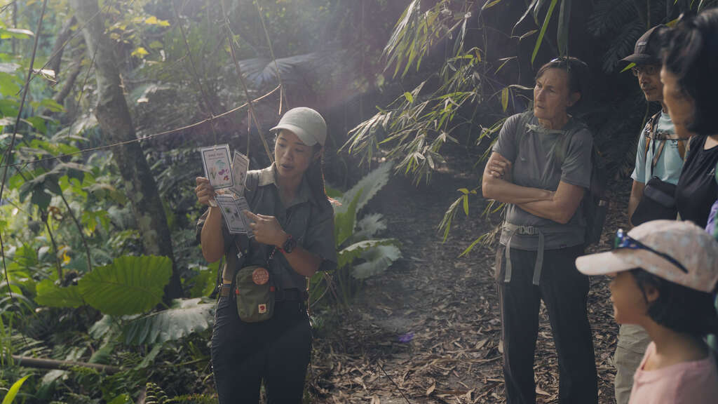 圖2-「縱谷國際旅遊體驗串聯計畫」，以跨區域串聯花蓮玉里山林、人文工藝與部落料理，打造兼具文化深度與國際慢旅魅力的新亮點。
