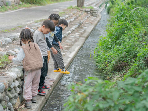 圖3-沿著圳溝散步、觀察生態，結合在地行動餐車的風味小食，呈現一條兼具農村日常感、食農教育與自然探索的親子微旅行路線