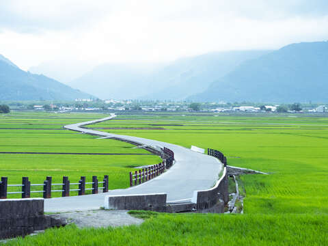 池上環鄉自行車道(伯朗大道)