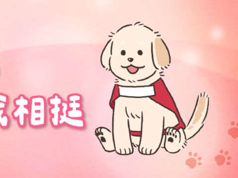 不拒絕導盲幼犬 友善環境你我相挺