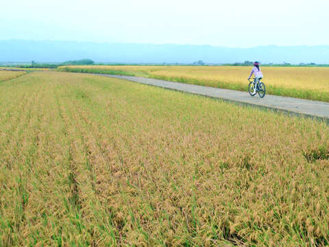 圖說1花東溫泉季最療癒的暖意，邀你冬日走進後山泡湯
