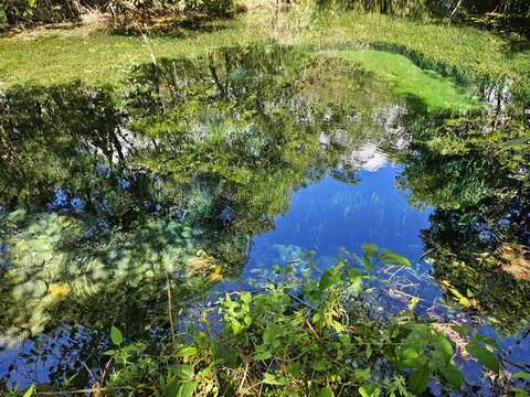 青陽農園の環境