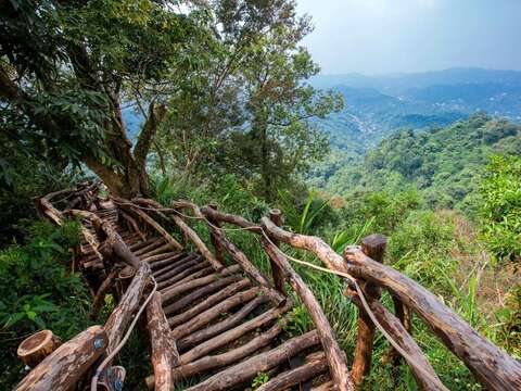 圖5-春季的大坑步道群新綠滿盈，從九號步道出發，在林蔭與野花間感受台中後花園的自然氣息。(來源：台中市政府網站)