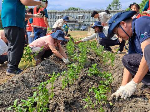縱管處處長和大家一起種樹