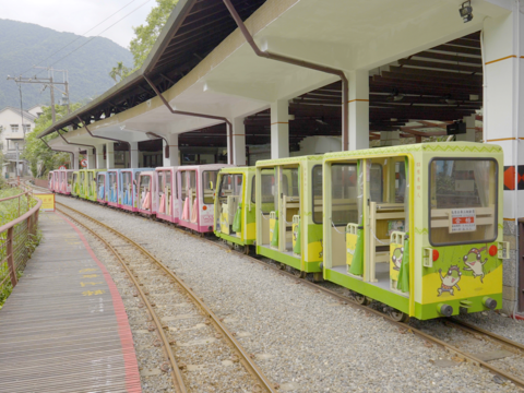 圖5-搭乘全台唯一的復古烏來台車，在春日新綠的鐵道間緩緩穿梭，是烏來能蟬聯旅遊推薦獎項最受歡迎的親子亮點。S