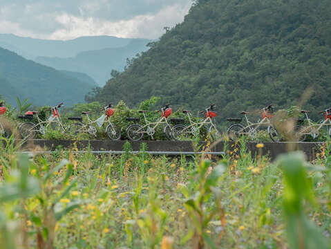走入菜園認識布農傳統作物