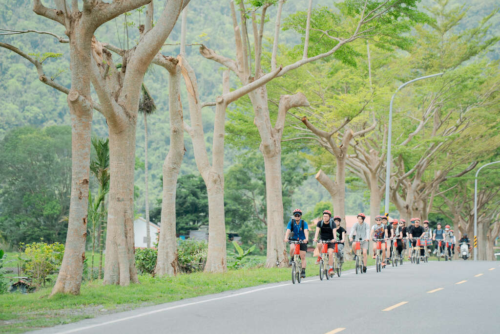 結合電輔車不僅省力更響應低碳環保趨勢