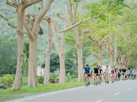 結合電輔車不僅省力更響應低碳環保趨勢