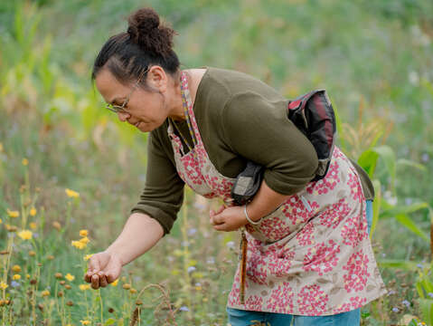 遊客將能在田園間感受族人與自然的互動