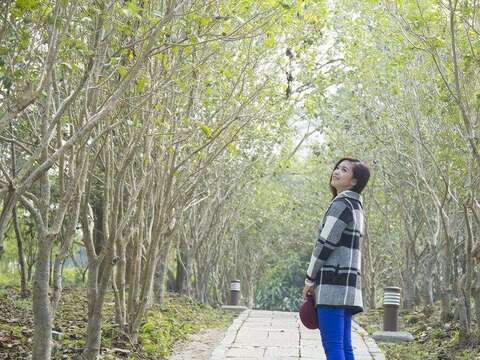 圖3-春遊關子嶺在「推薦旅遊好湯」的帶領下，讓泡湯行程與春意盎然的花海完美連結。(圖片來源：臺南旅遊網）