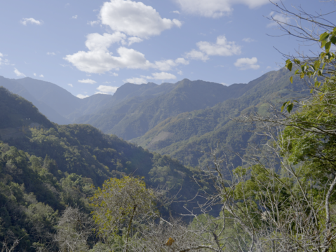 圖3-在春季的微涼氣候中享受負離子洗禮，是泡湯前最完美的山林暖身運動。