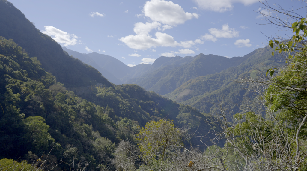 圖3-在春季的微涼氣候中享受負離子洗禮，是泡湯前最完美的山林暖身運動。