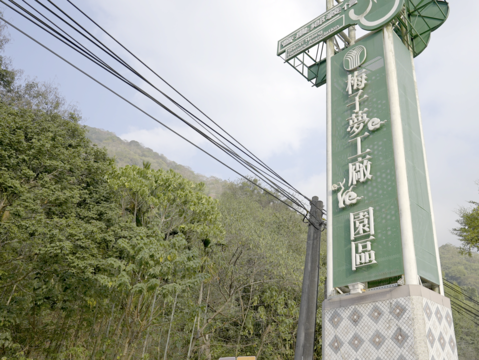 圖5-深入信義鄉梅園體驗採梅趣，感受土地結實累累的喜悅，更能吃進大地的健康滋味。