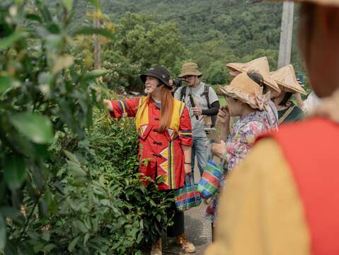 部落青年帶領走入馬立雲部落，介紹民族文化、植物與遷徙歷史