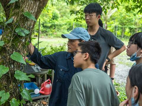 與在地業者青陽農園合作，辦理生態解說課程。