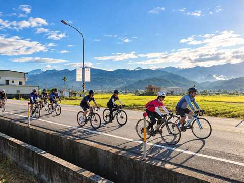 車友隊伍穿梭於藍天青山與金黃稻田間，暢遊縱谷壯麗風光。