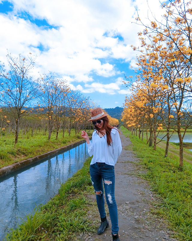 Instagram-17905588729149942