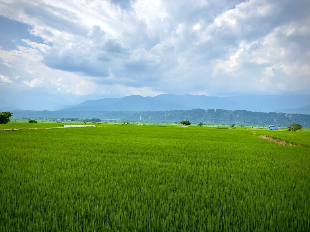 最近實在有點忙地震後好多地方需要復原希望大家之後能來花東旅遊支持一下復原後的花東喔❤️—地點 193縣道—在想投稿的照片上標註@e...