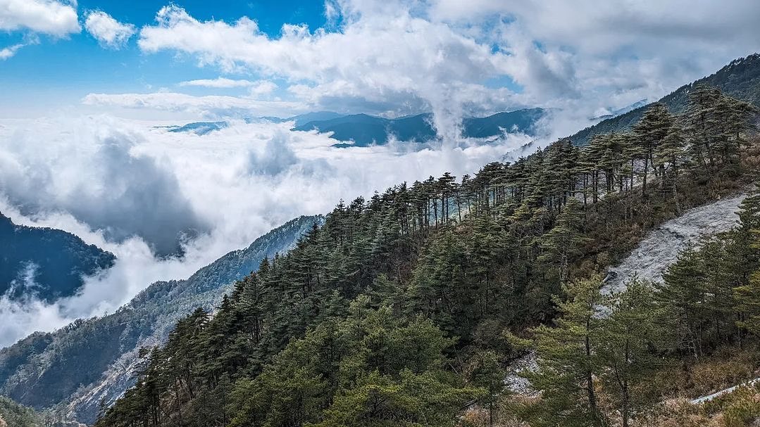 人生就像座山峰有高點也有低谷沒有低潮，怎顯登頂時的燦爛—感謝 攝影師 @angelo7036 地點 南橫公路—在想投稿的照片上標註...