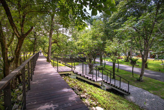 林田山林業文化園區 (夏) (23)